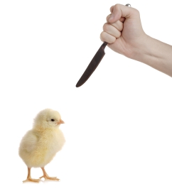 Budget 2011 Cuts - Brian Lenihan Minister for Finance